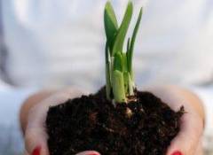 Transformational Life Coaching